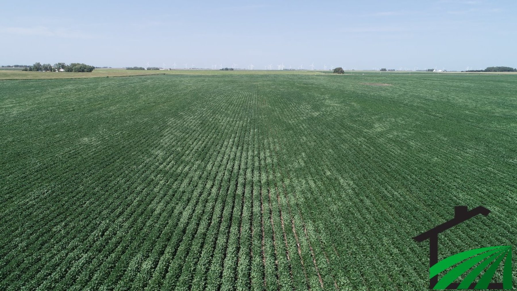 Image for Webster County Farmland Auction!