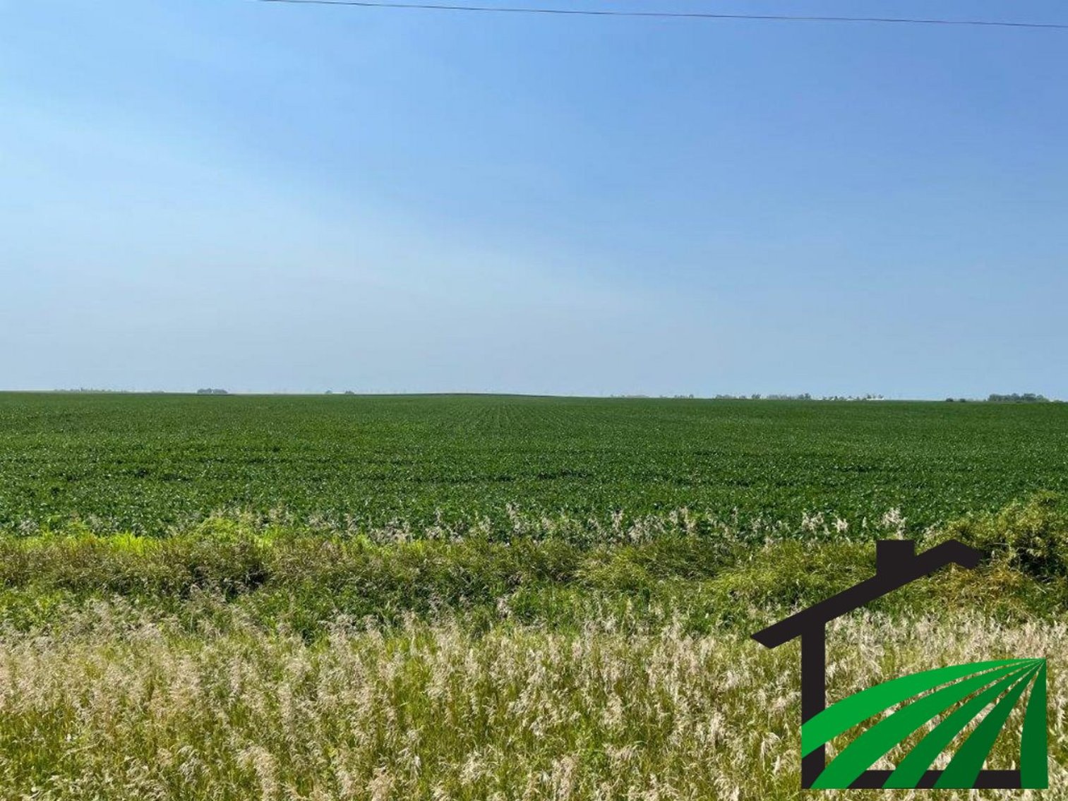 Image for Webster County Farmland Auction!