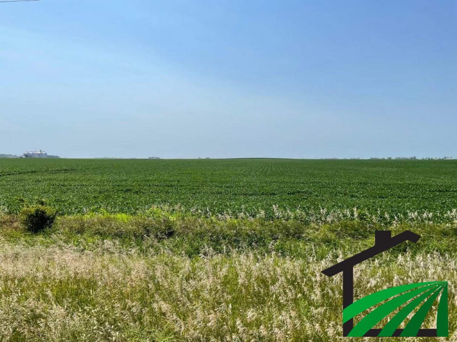 Image for Webster County Farmland Auction!