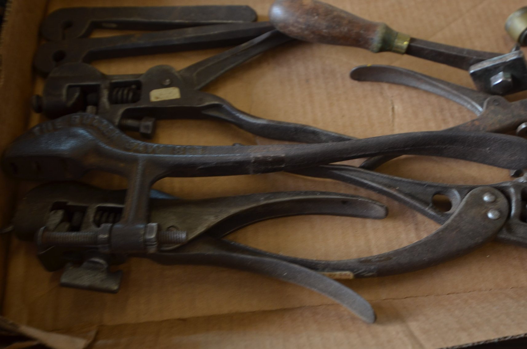 Image for DRIER TRUST COLLECTION - Arkansaw, WI