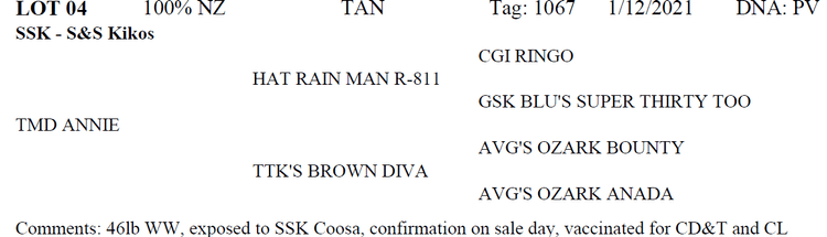 Image for 2022 Oklahoma Hills Kiko Invitational