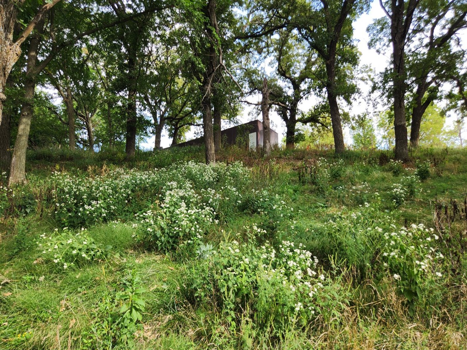 Image for 2870 215th Street, Sac City!