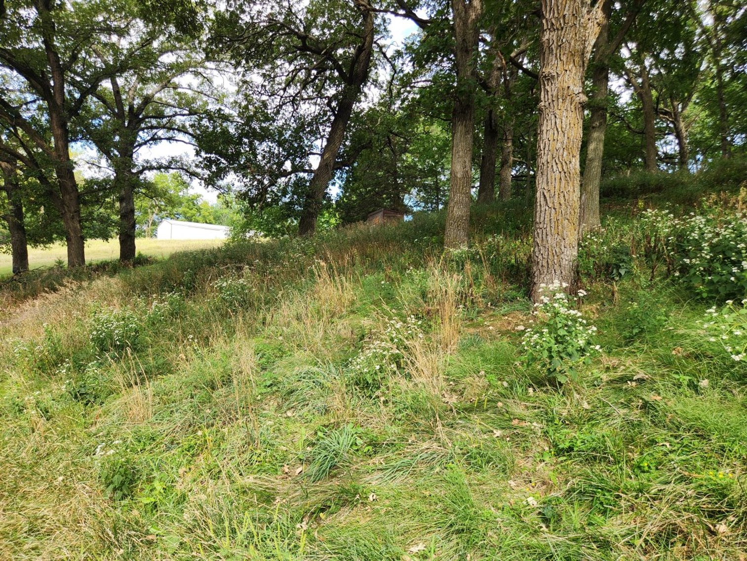 Image for 2870 215th Street, Sac City!