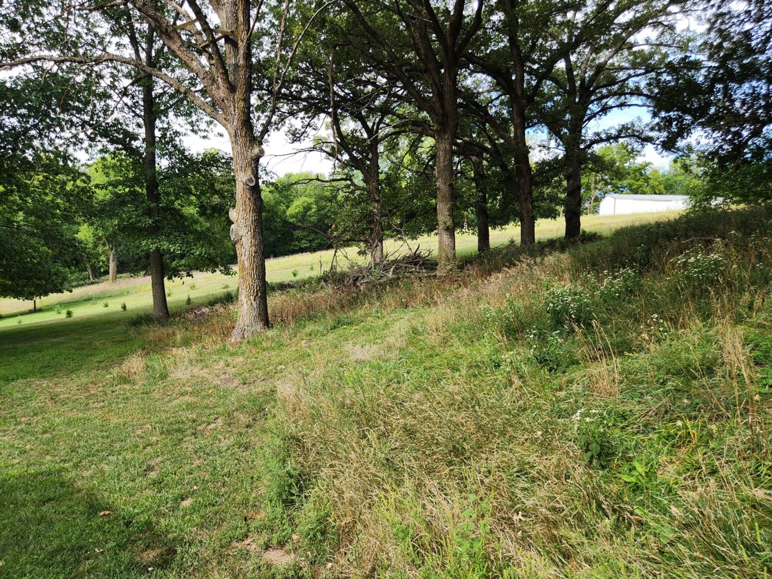 Image for 2870 215th Street, Sac City!