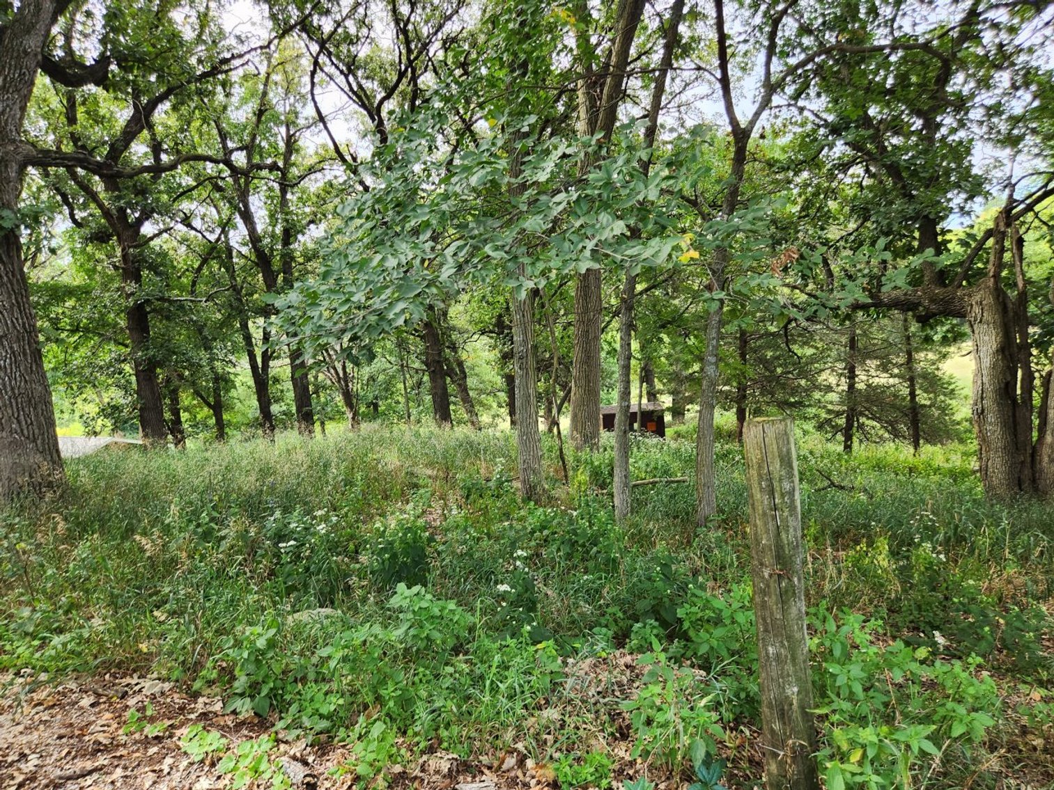 Image for 2870 215th Street, Sac City!