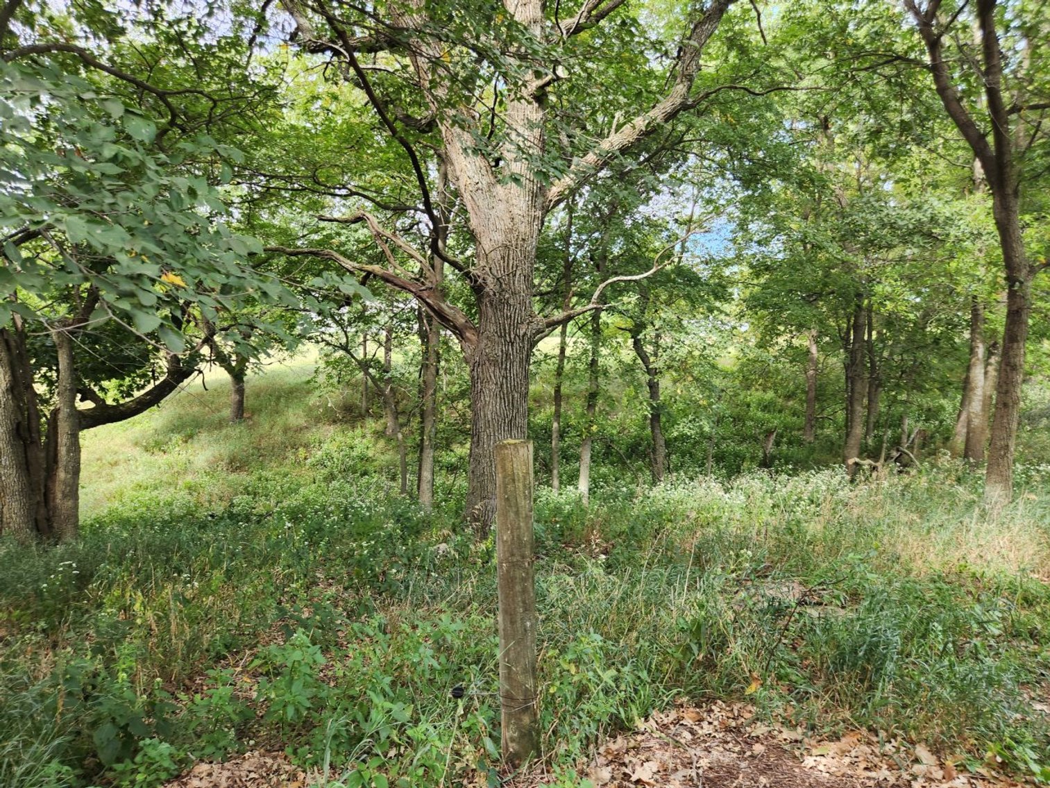 Image for 2870 215th Street, Sac City!