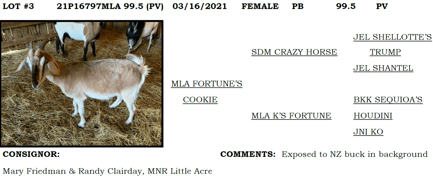 Image for 2022 IKGA KikoFest Sale