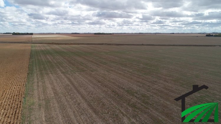 Image for Calhoun County, Iowa Farmland Auction!