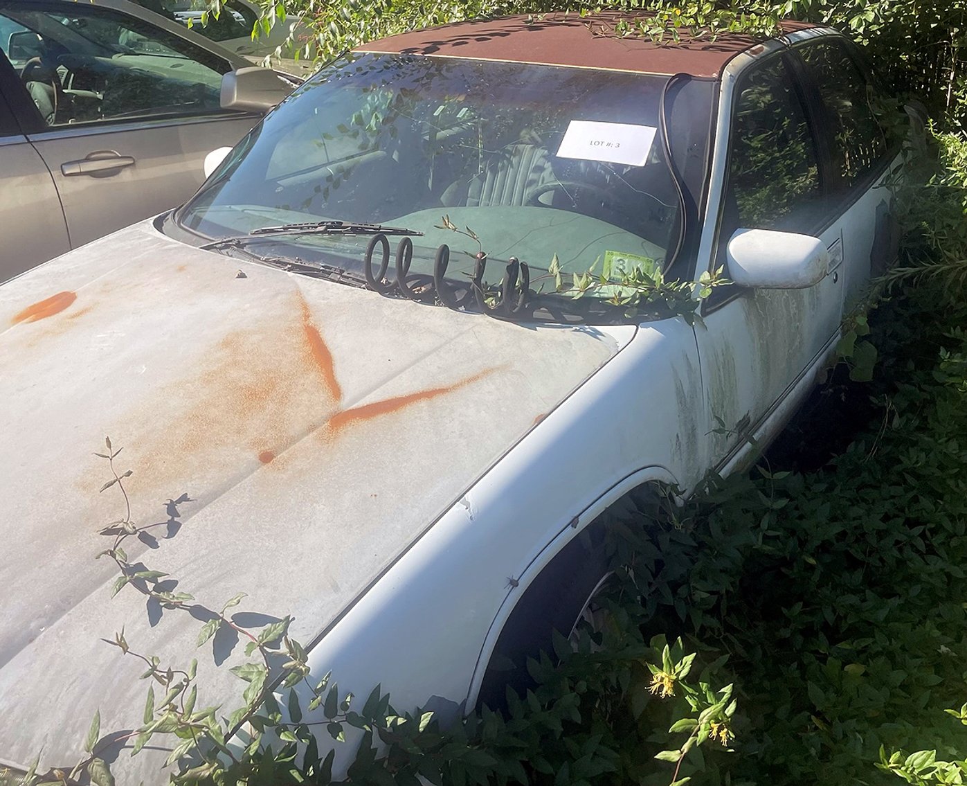 Image for Hudson County Prosecutor's Seized Vehicles