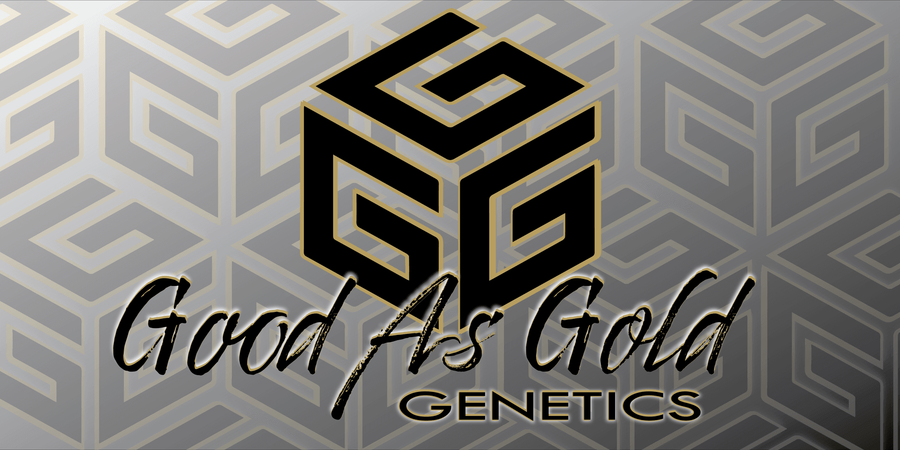 Image for Good As Gold Genetics - Farm Sale #4