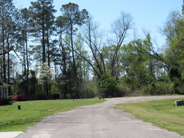 Image for Absolute Auctions of North Carolina & South Carolina Properties