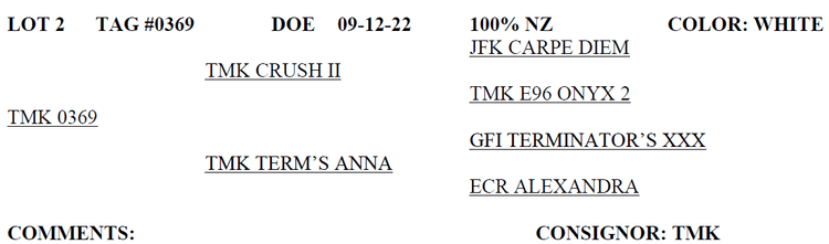 Image for 2023 Mountain Premier Invitational Kiko Sale