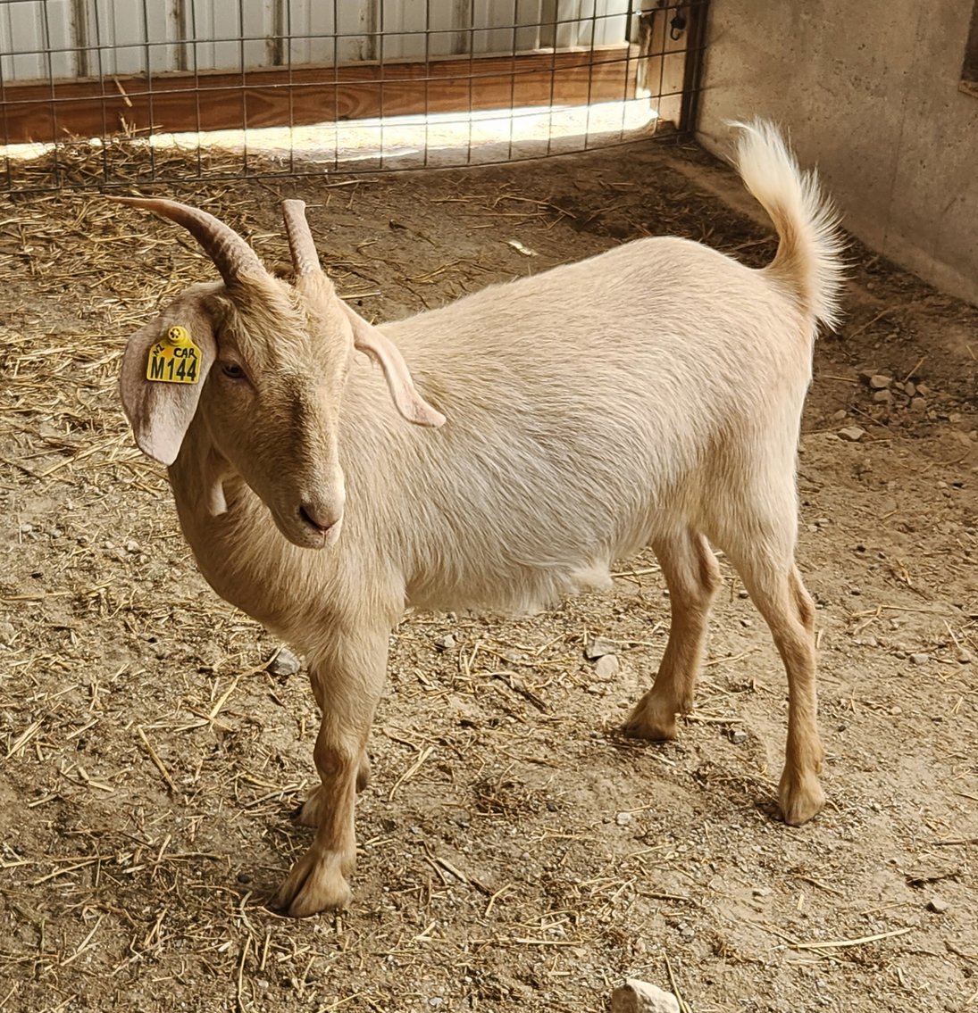 Image for 2023 Bluegrass Performance Invitational