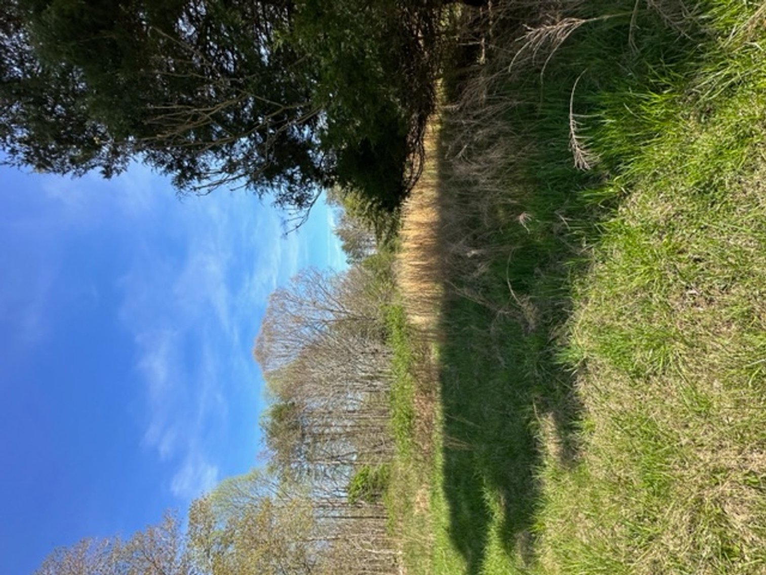 Image for 620 Park Rd., Mayodan, NC