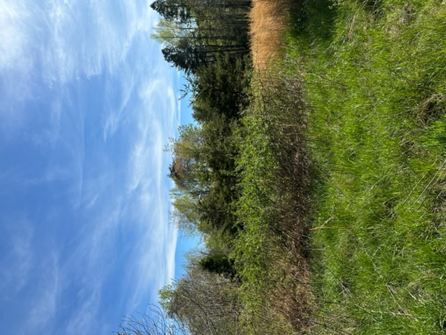 Image for 620 Park Rd., Mayodan, NC