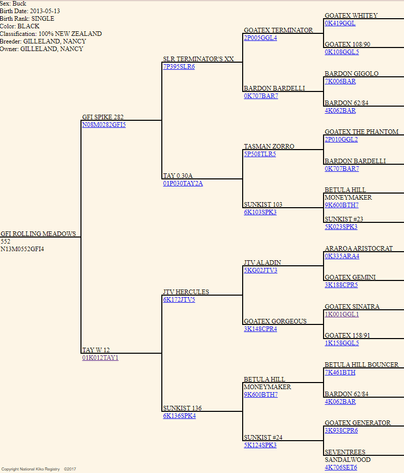 Image for Rolling Meadows Goat- FPO Sale