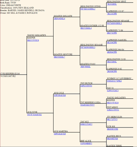 Image for 2023 Goat Days of Summer