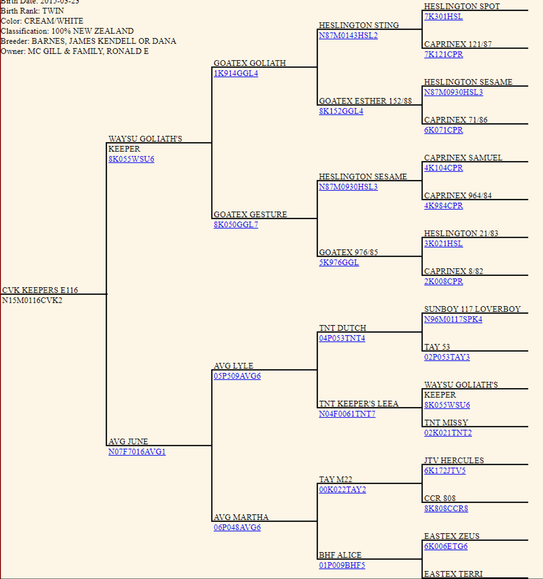 Image for 2023 Goat Days of Summer