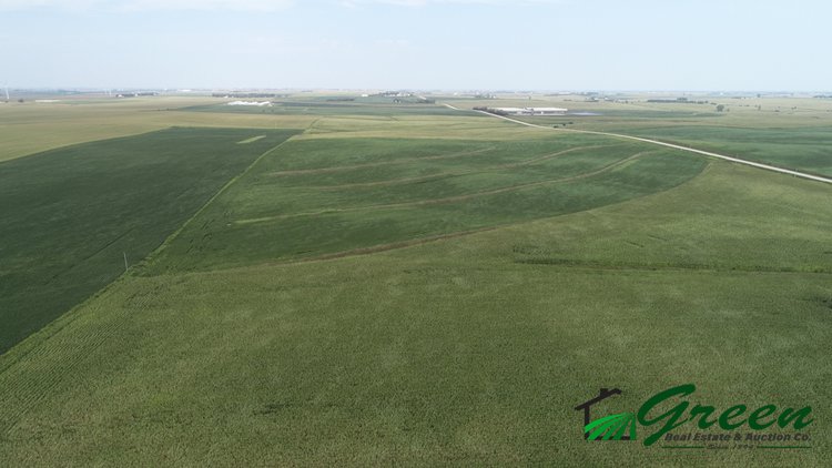 Image for Sac County, Iowa Land Auction!