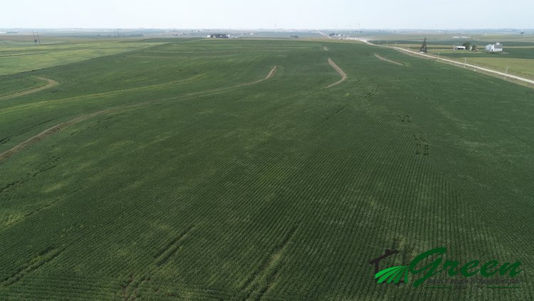 Image for Sac County, Iowa Land Auction!
