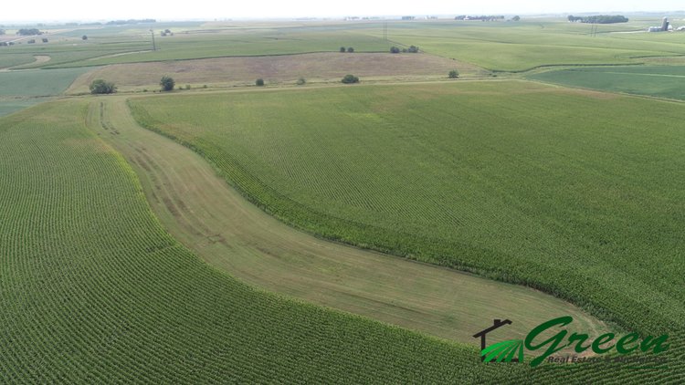 Image for Sac County, Iowa Land Auction!