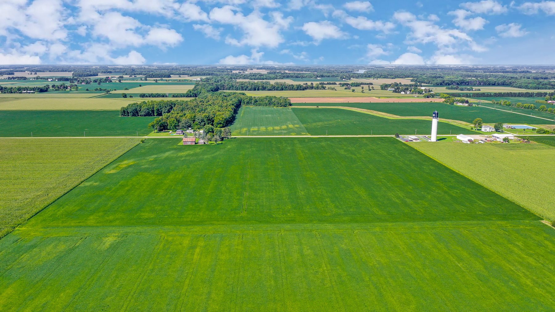 Image for 40 Acres with House and Barns