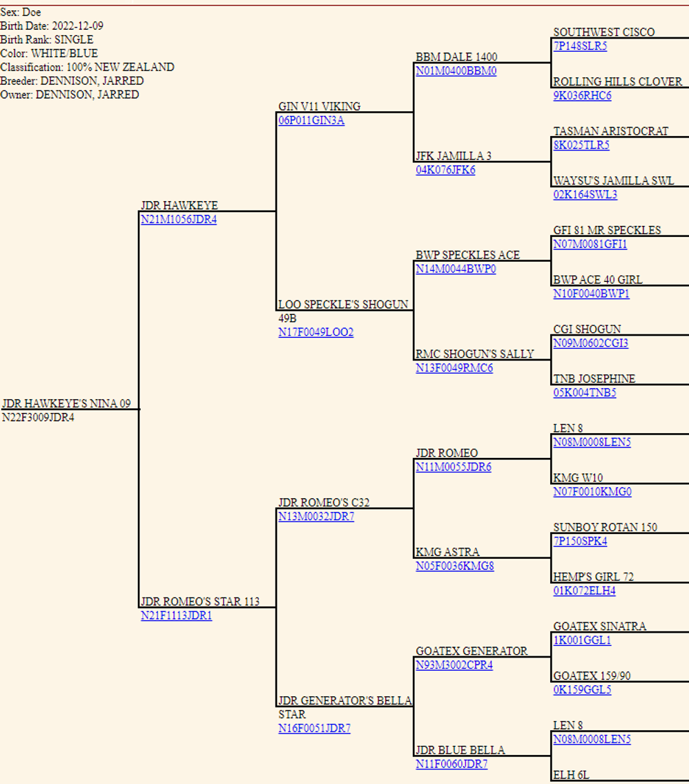 Image for 2023 Cream Of The Crop- Kiko Sale