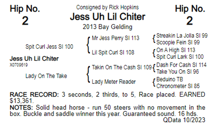 Image for 2023 World Cup Rope Horse Sale