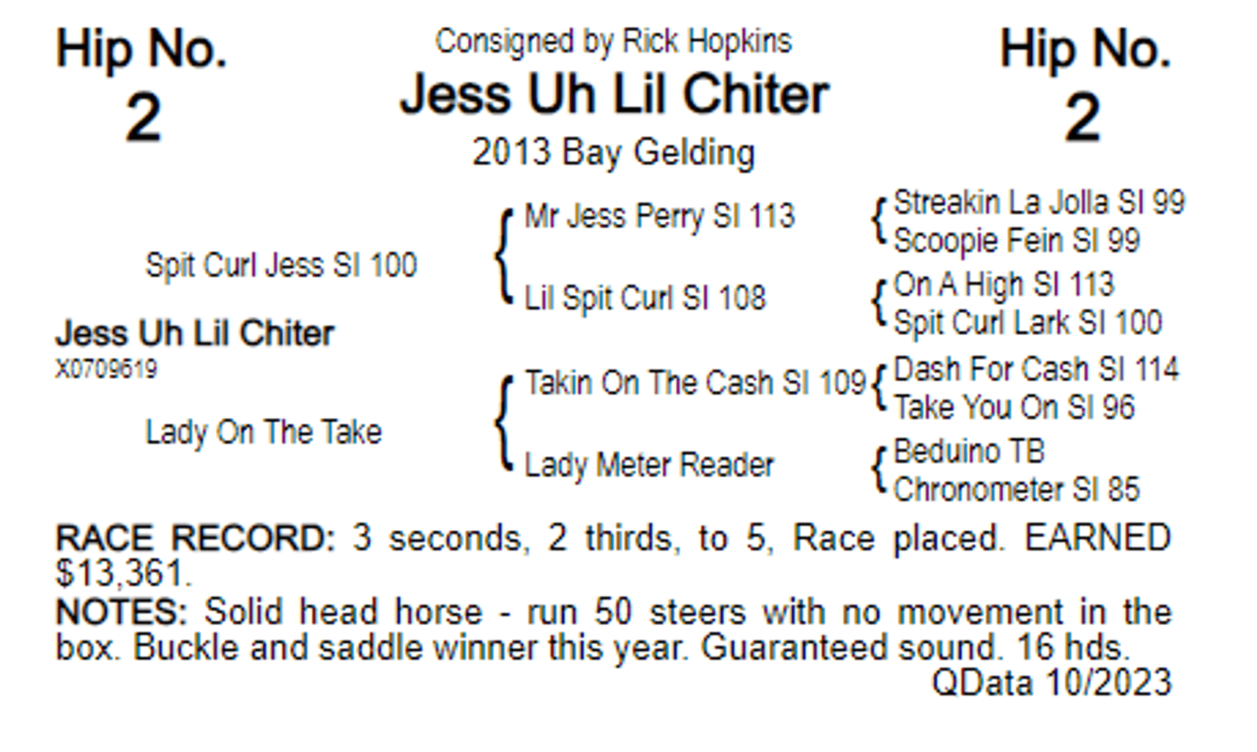 Image for 2023 World Cup Rope Horse Sale