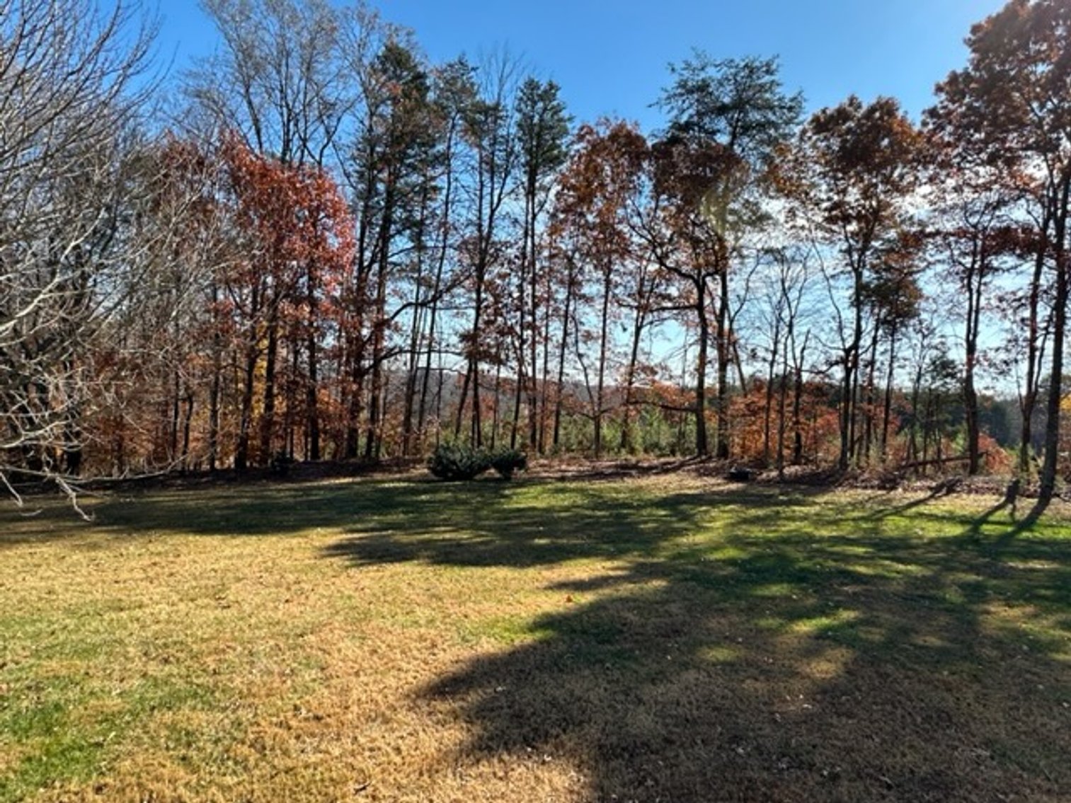 Image for 220 Farmview Dr., Madison, NC