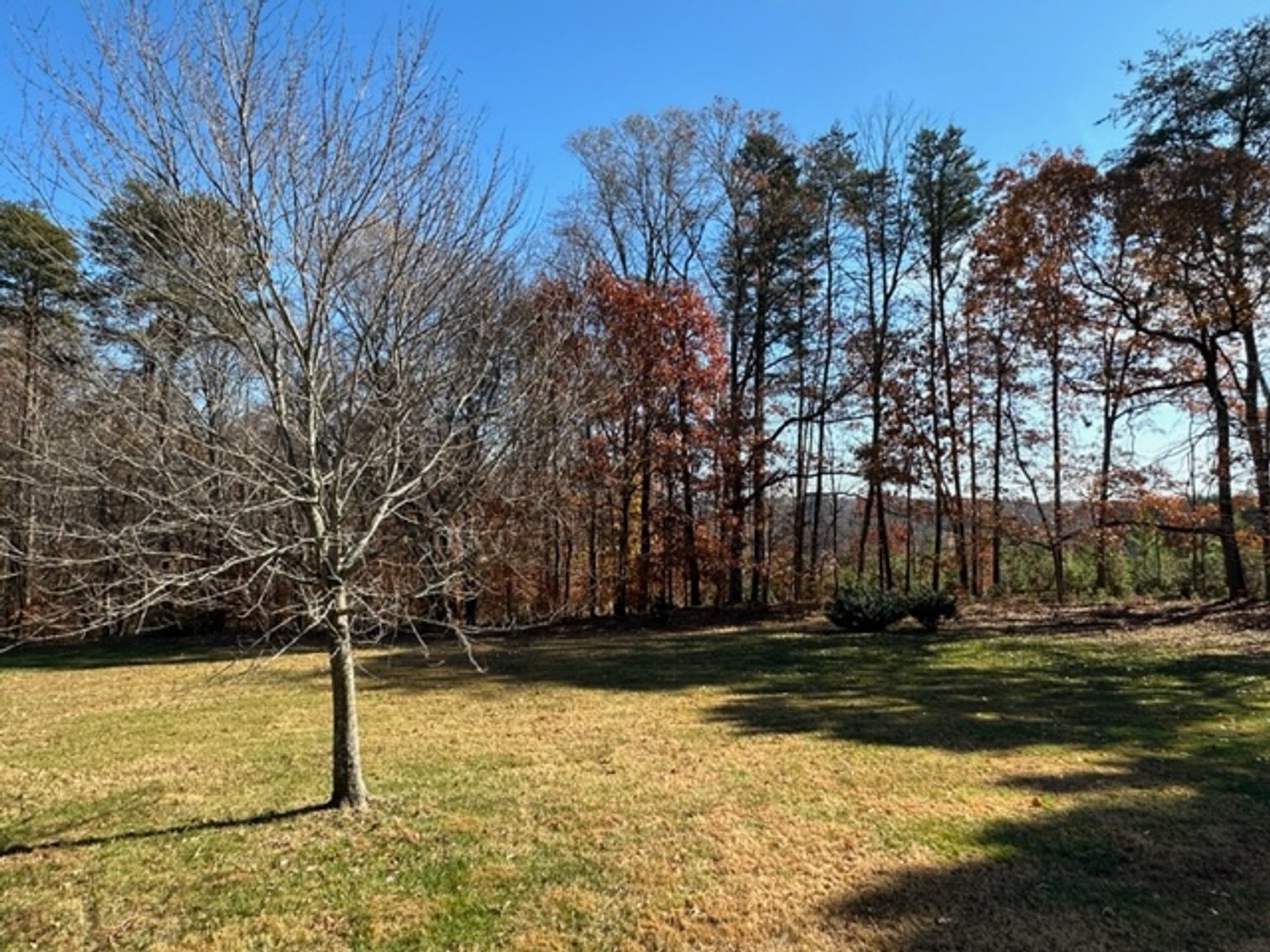 Image for 220 Farmview Dr., Madison, NC