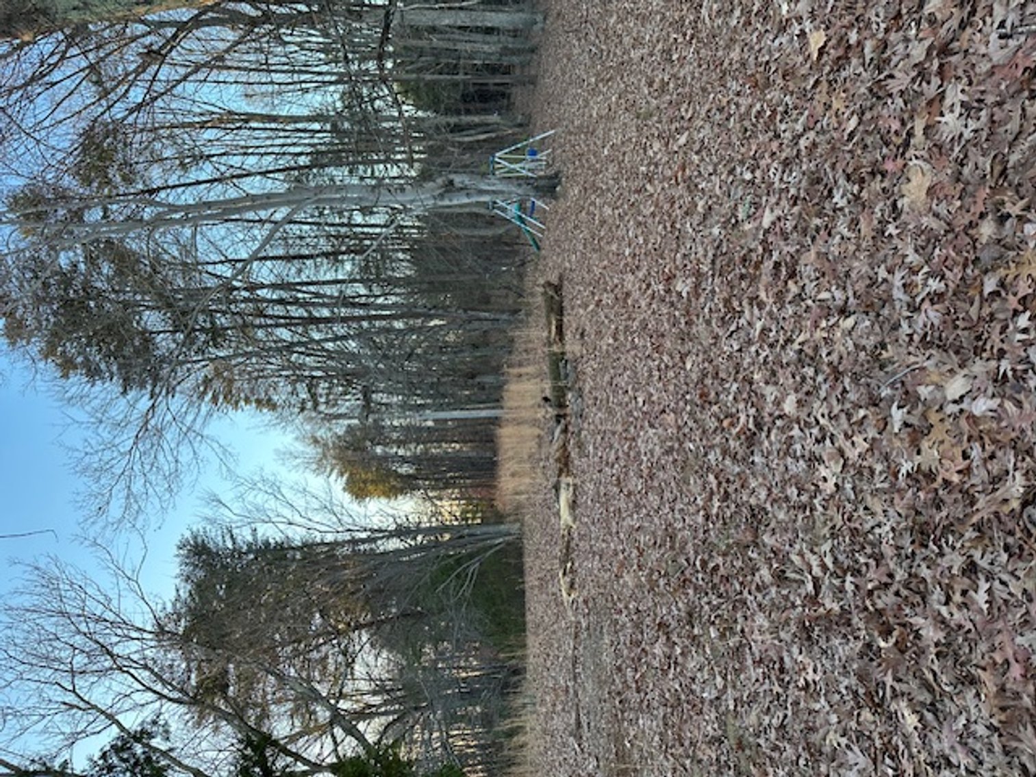 Image for 725 CN Smith Mill Rd., Stoneville, NC