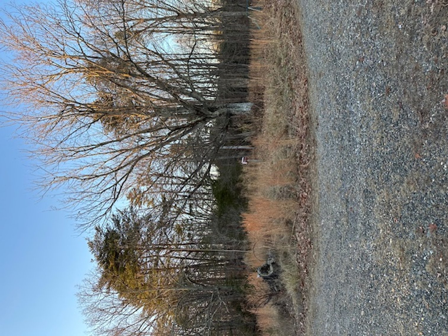 Image for 725 CN Smith Mill Rd., Stoneville, NC