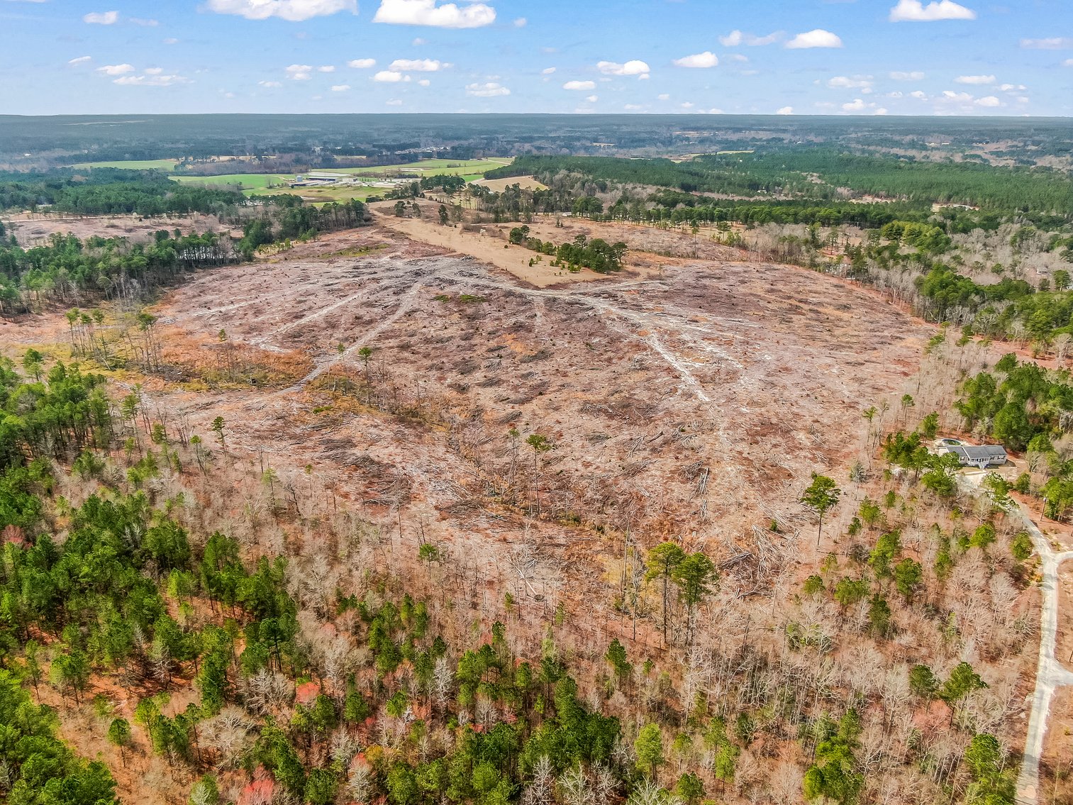 Auction for 119 + - Acres Carthage, NC  Moore County