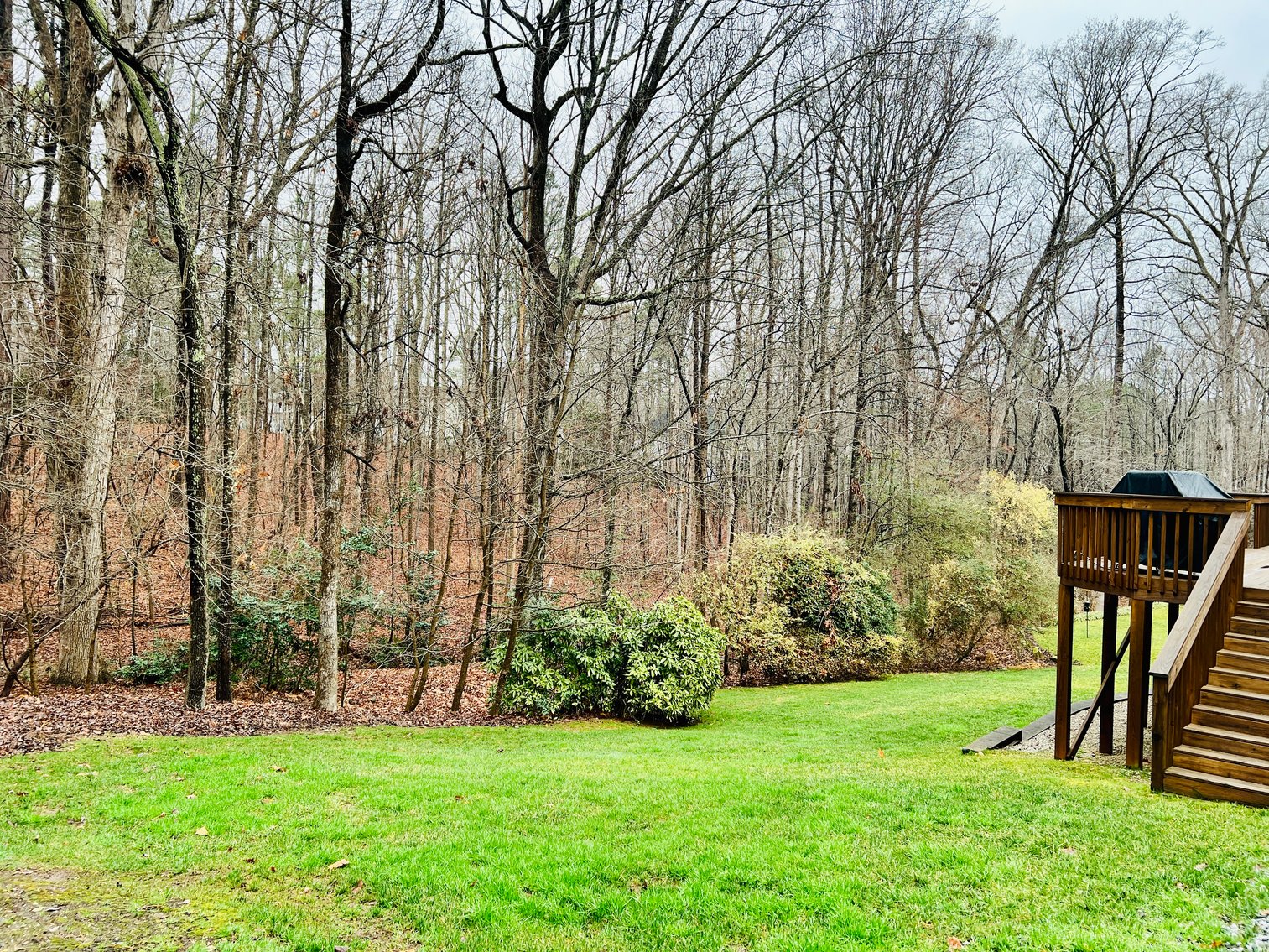 Executive Home in Cary, NC