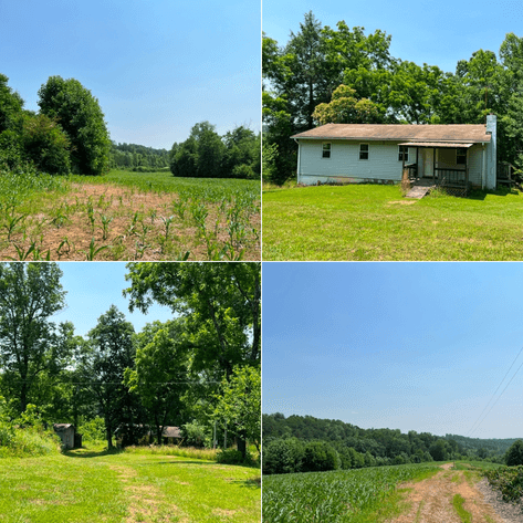 Estate of The Late Jimmy Ray Newman - 150± Acres with 1 Home & Additional Buildings