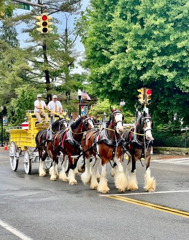 Appalachian Fair 2024