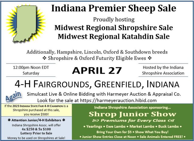 2024 Indiana Premier Sheep Sale Webcast Bidding