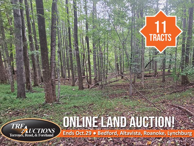 Online Land Auction - Roanoke, Bedford, Campbell, Lynchburg