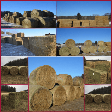 FEBRUARY HAY & BEDDING AUCTION - Fairchild, WI