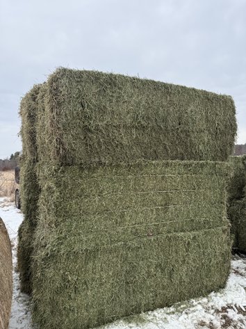 JANUARY HAY & BEDDING AUCTION - Fairchild, WI