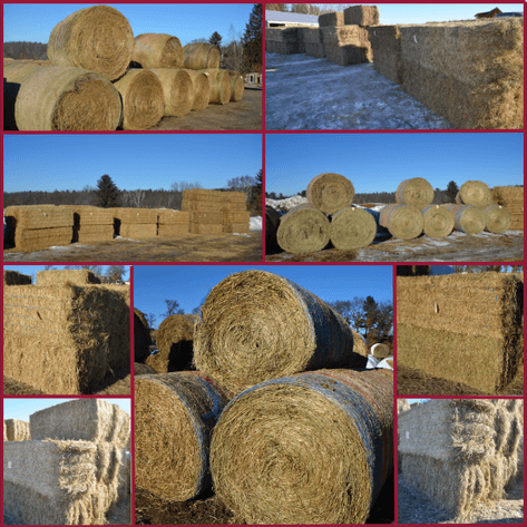 DODGE ONLINE HAY AUCTION - Dodge, WI