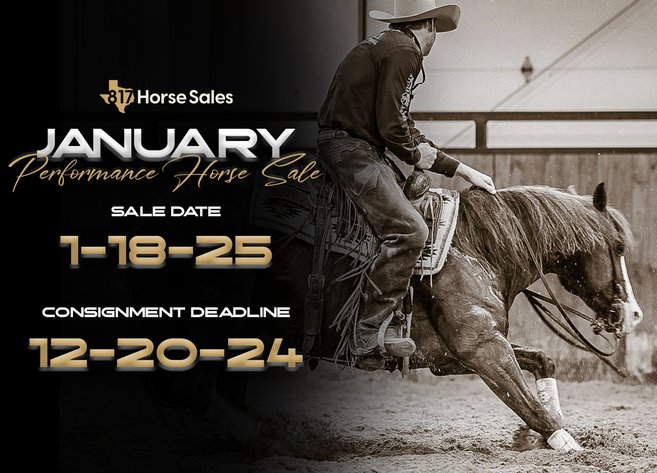 Image for January Performance Horse Sale 