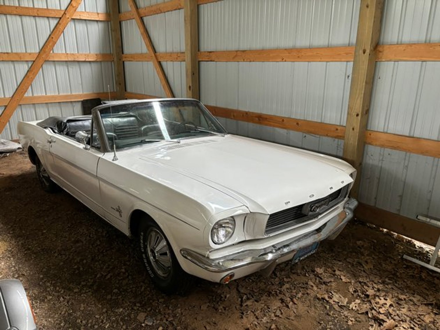 Wisconsin Summer Car Auction