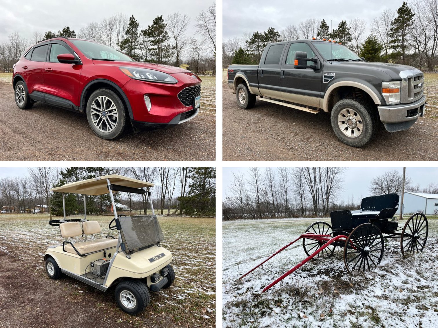 Living Estate: Vehicles, Golf Cart, Shed, Lawn Art, Household (131785)