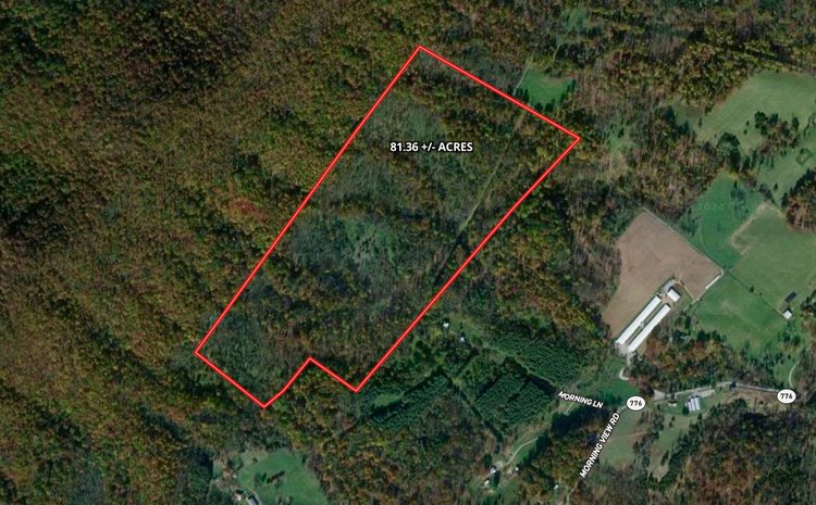 81 +/- Acre Land Parcel w/Spring House, Access Roads & Tons of Wildlife--Rockingham County, VA