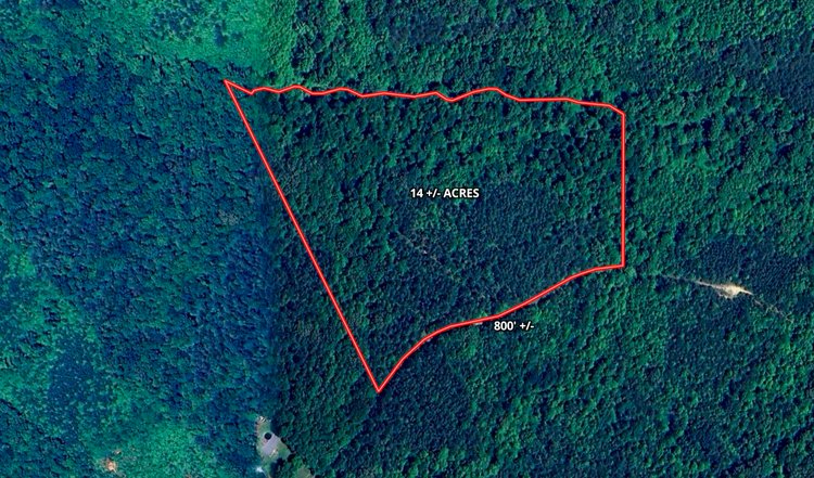 14 +/- Acre Wooded Parcel/Building Lot in Prince Edward County, VA--SELLING to the HIGHEST BIDDER via ONLINE ONLY BIDDING!!