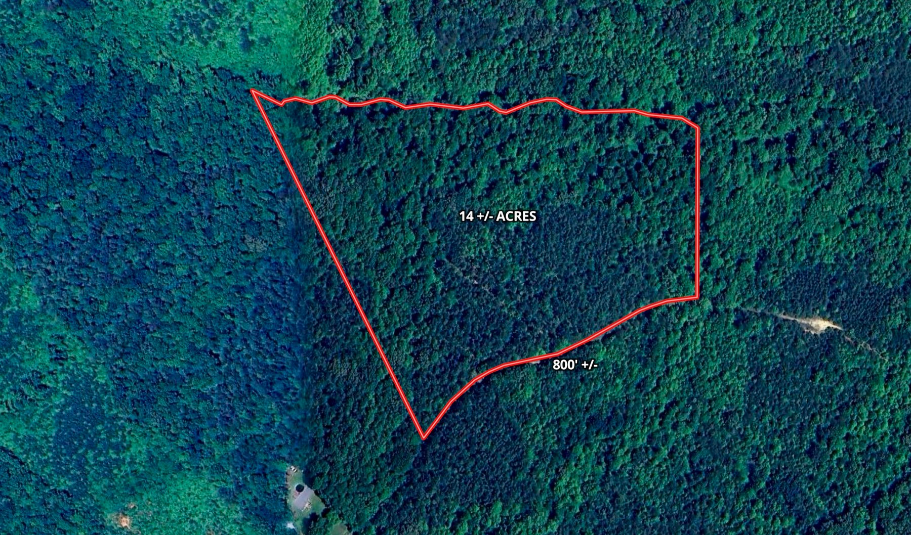 Image for 14 +/- Acre Wooded Parcel/Building Lot in Prince Edward County, VA--SELLING to the HIGHEST BIDDER via ONLINE ONLY BIDDING!!