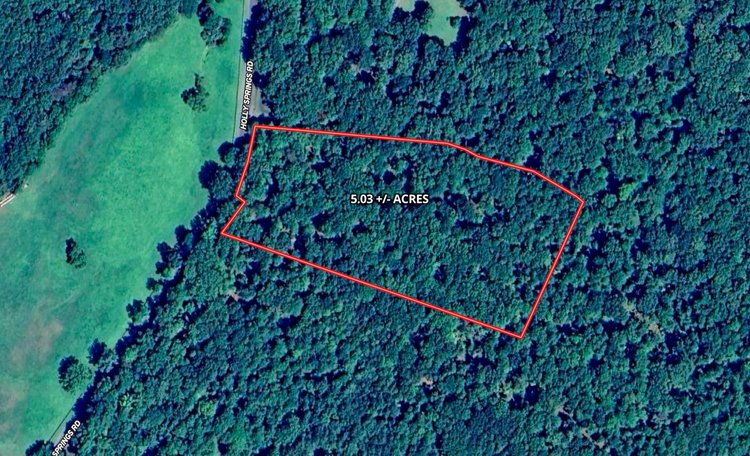 5.03 +/- Acre Wooded Land Parcel w/240' +/- of Road Frontage in Culpeper County, VA--ONLINE ONLY BIDDING!!