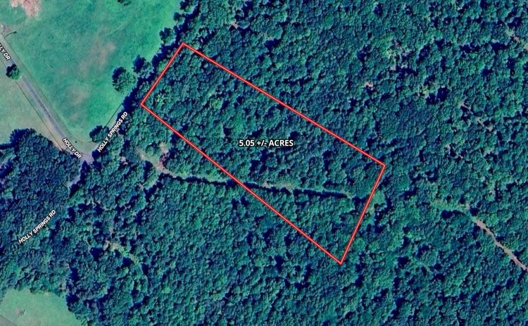 5.05 +/- Acre Wooded Land Parcel w/230' +/- of Road Frontage in Culpeper County, VA--ONLINE ONLY BIDDING!!